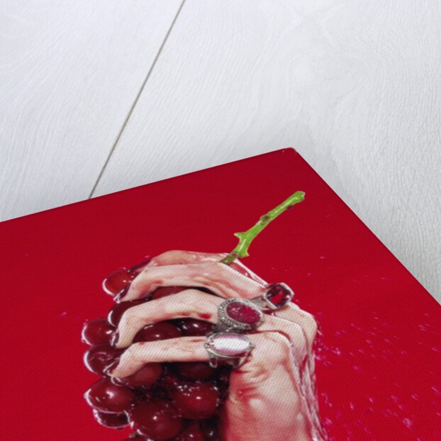 Woman's Hand Squeezing Red Grapes by Anonymous