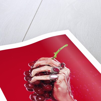 Woman's Hand Squeezing Red Grapes by Anonymous