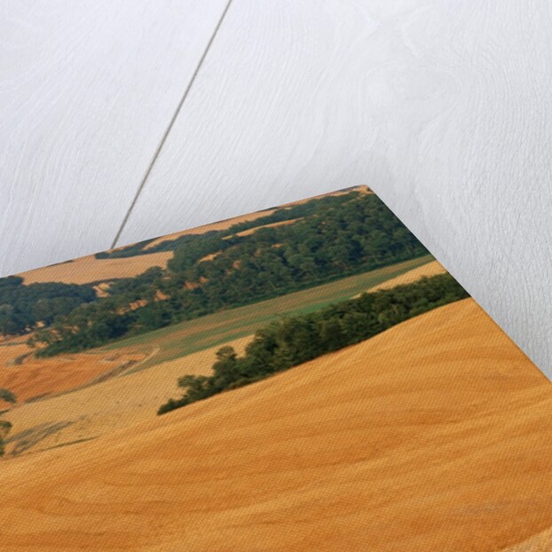 Italy, Tuscany, Crete Senesi by Anonymous