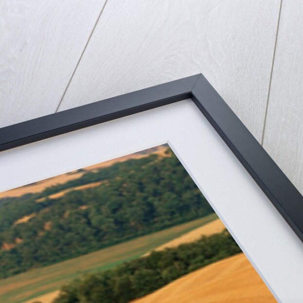 Italy, Tuscany, Crete Senesi by Anonymous