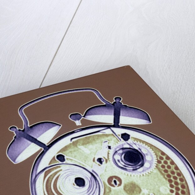Cross-section of Alarm Clock by Anonymous