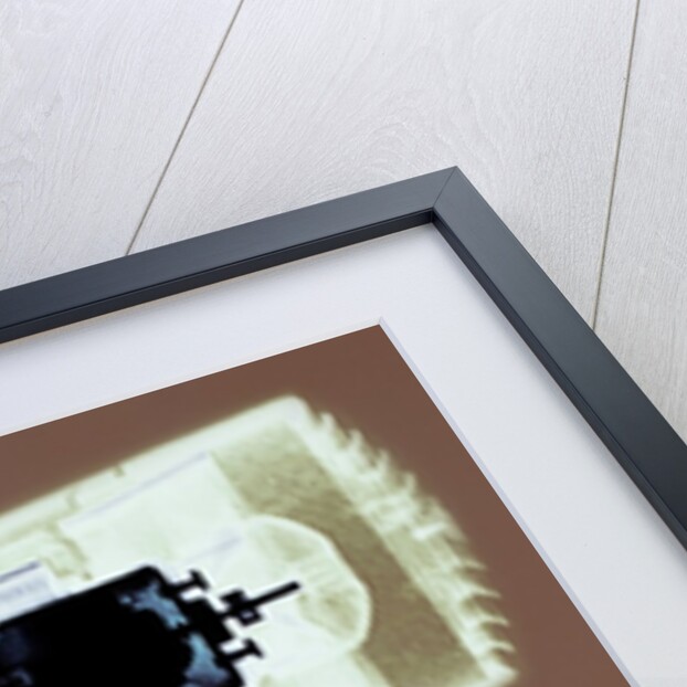 Cross-section of Blowdryer by Anonymous