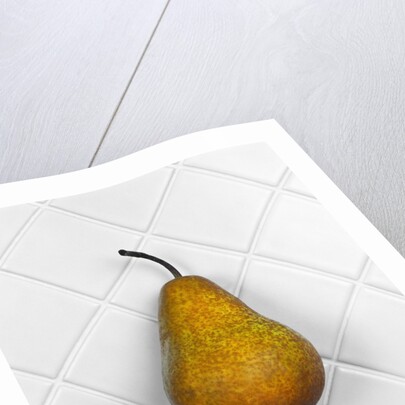 Pear in front of white background by Anonymous