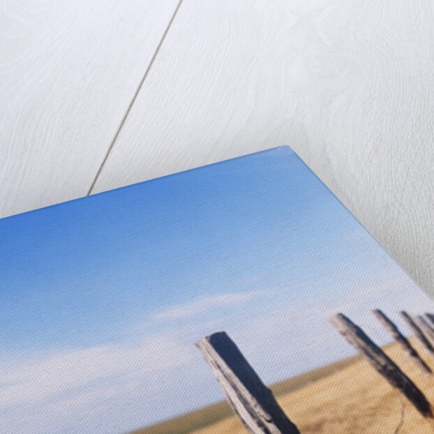 Wooden fence on meadow, St Peter-Ording, Germany by Anonymous