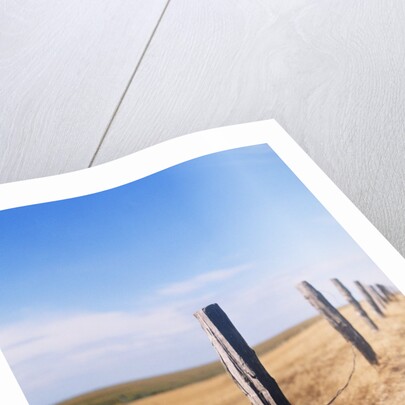 Wooden fence on meadow, St Peter-Ording, Germany by Anonymous