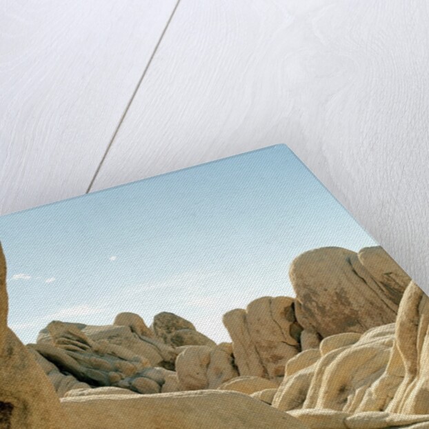 Stones, Joshua Tree National Park in southern california by Anonymous