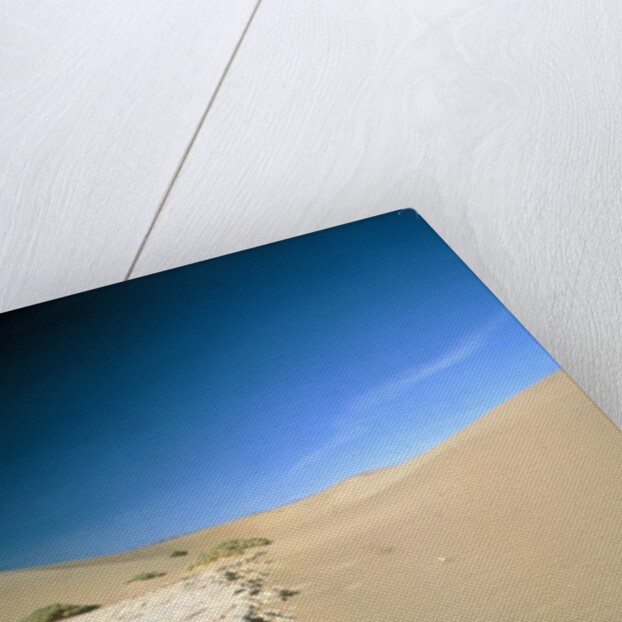 Stovepipe Wells, Death Valley, Nevada, USA by Anonymous