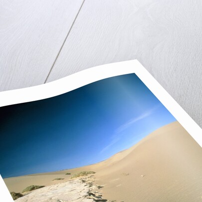 Stovepipe Wells, Death Valley, Nevada, USA by Anonymous