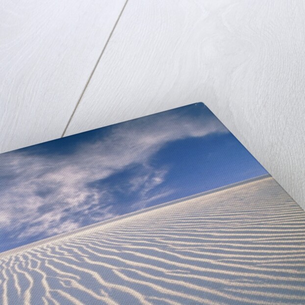 White Sands National Monument by Anonymous