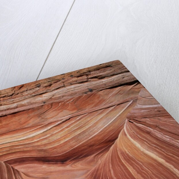 Rock, Paria Canyon, Utah, USA by Anonymous