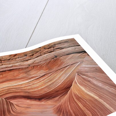 Rock, Paria Canyon, Utah, USA by Anonymous