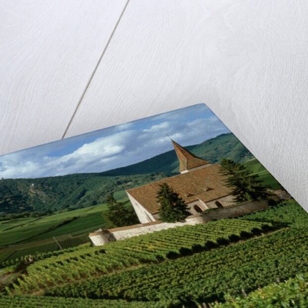 Agricultural scene, Hunawihr, Alsace-Lorraine, France by Anonymous