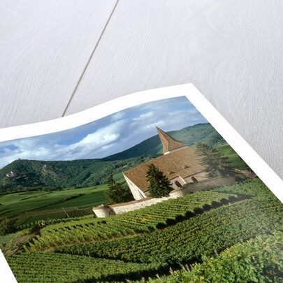 Agricultural scene, Hunawihr, Alsace-Lorraine, France by Anonymous