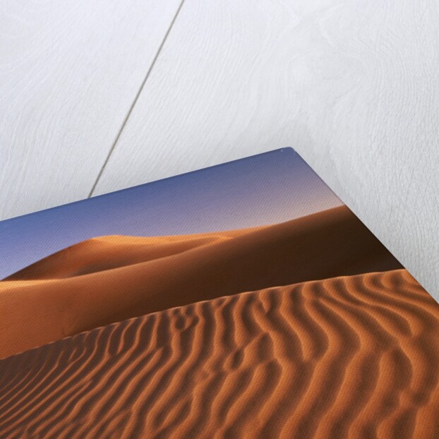 Dunes in the desert (Hatta, United Arab Emirates) by Anonymous