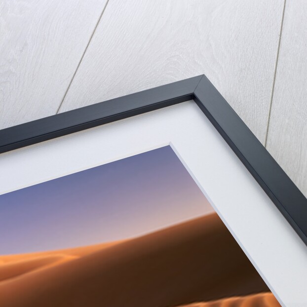 Dunes in the desert (Hatta, United Arab Emirates) by Anonymous