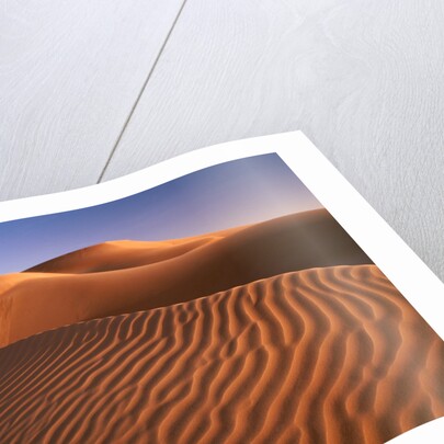 Dunes in the desert (Hatta, United Arab Emirates) by Anonymous