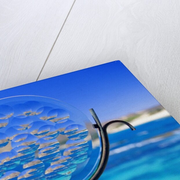 Chileno Bay, Los Cabos, Mexico by Anonymous