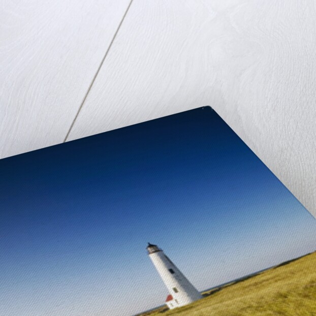 Great Point Lighthouse by Anonymous