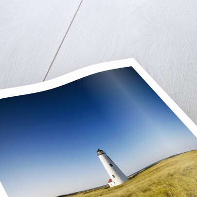 Great Point Lighthouse by Anonymous