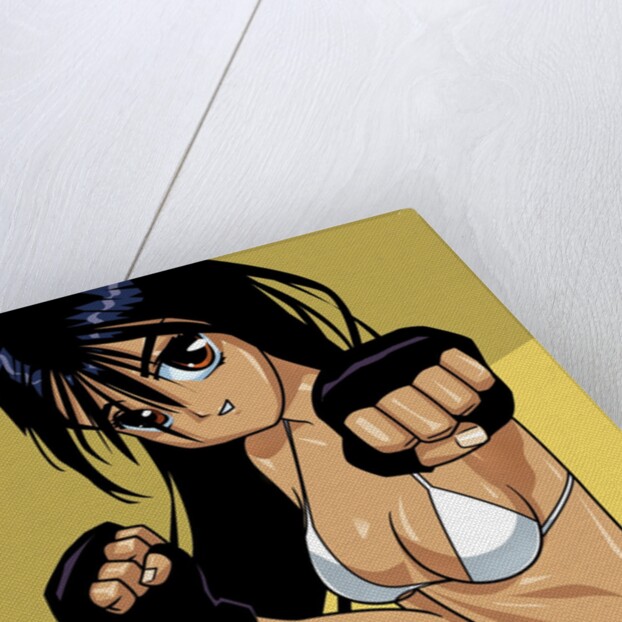 Anime Girl Fighter by Anonymous