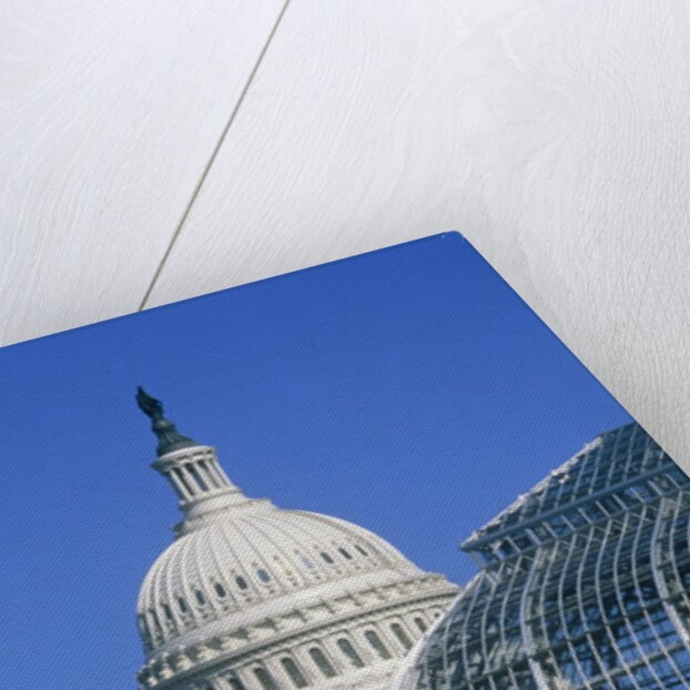 United States Botanic Garden Conservatory and Capitol, Washington DC, USA by Anonymous