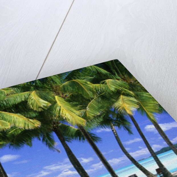 Aitutaki, Cook Islands, New Zealand by Anonymous