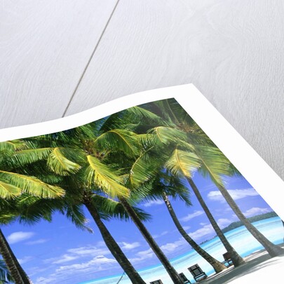 Aitutaki, Cook Islands, New Zealand by Anonymous