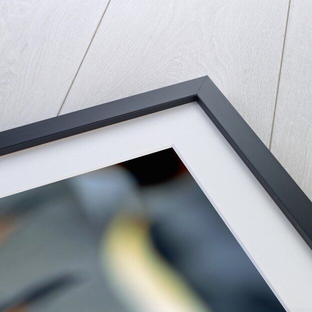 Group of king penguins by Anonymous