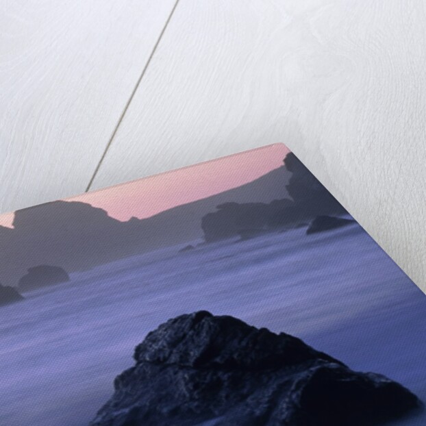 USA, California, Redwood National Park, Rocky shore with surf, dusk by Anonymous