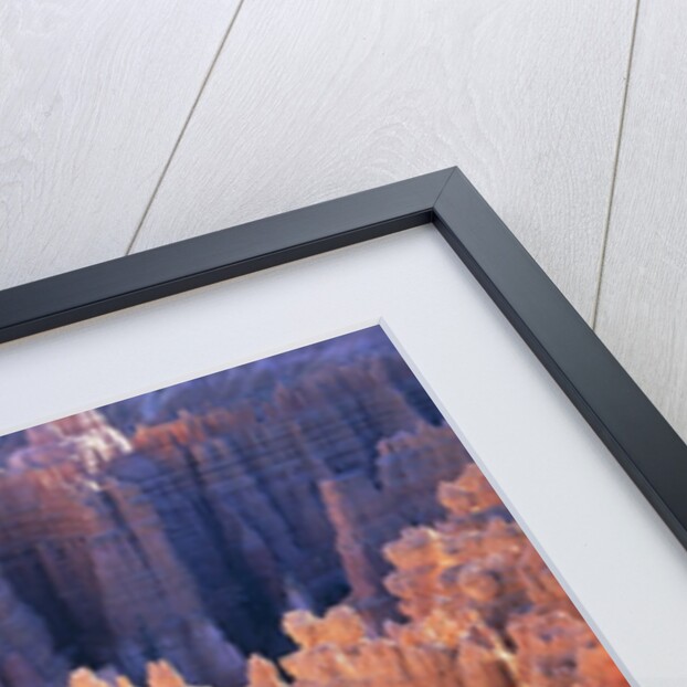 USA, Utah, Bryce Canyon by Anonymous