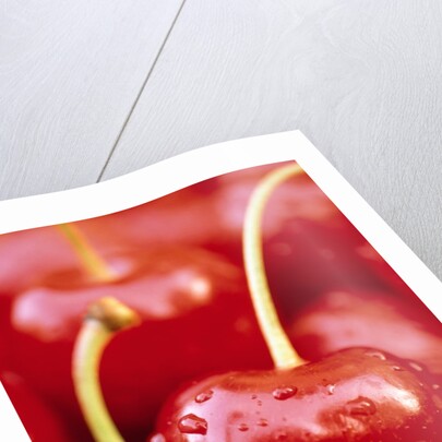 Cherrys by Anonymous