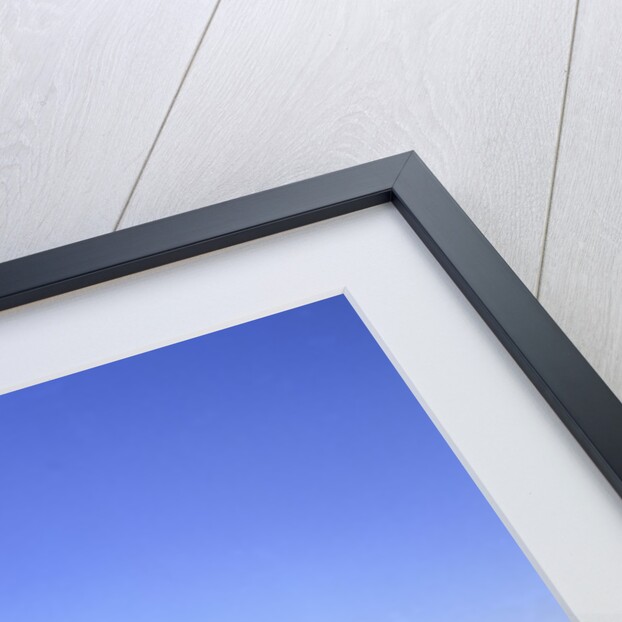 USA, Utah, Arches National Park, Delicate Arch by Anonymous