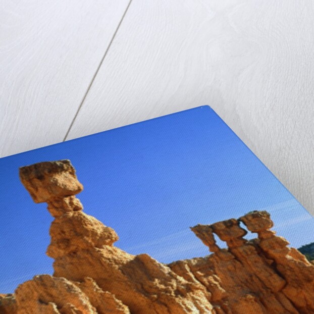 USA, Utah, Bryce Canyon by Anonymous