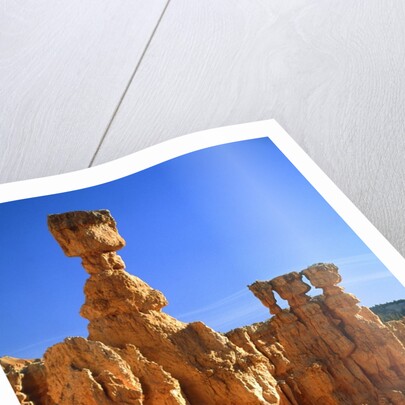 USA, Utah, Bryce Canyon by Anonymous