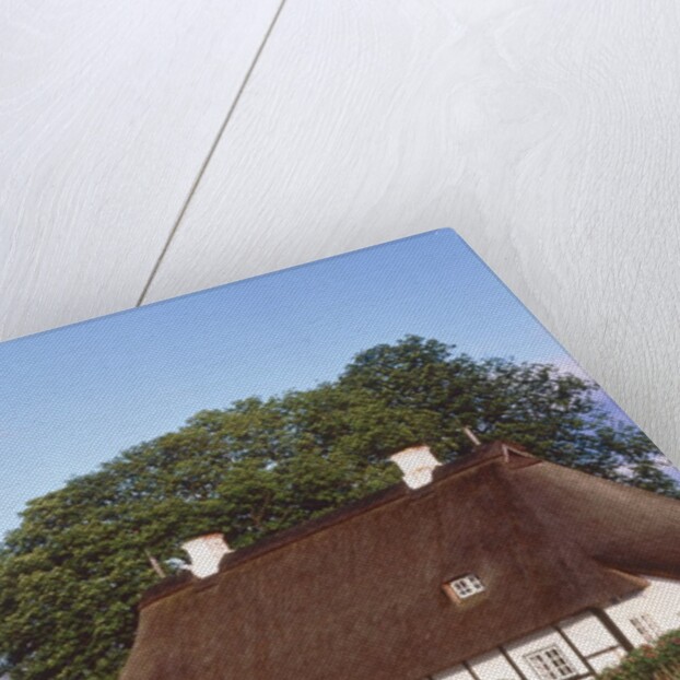 Half timbered house with reed roof by Anonymous