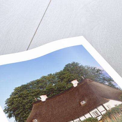 Half timbered house with reed roof by Anonymous