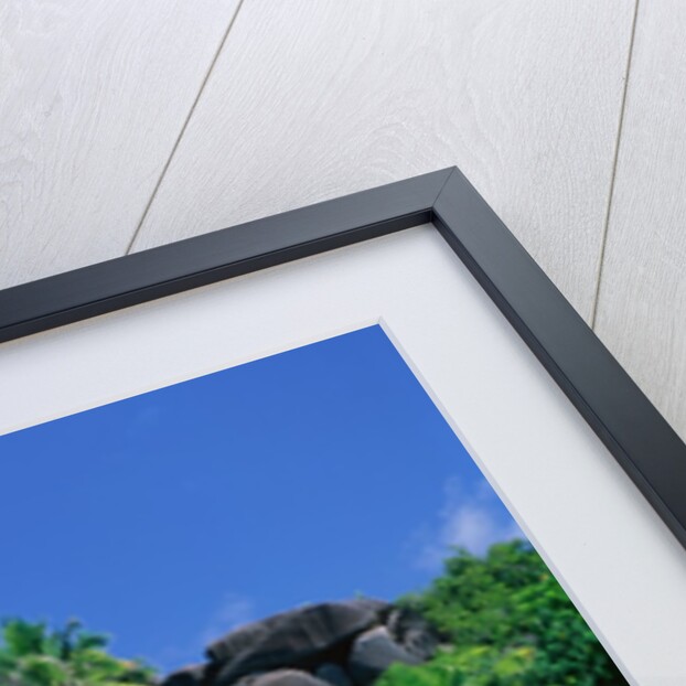 La Digue, Seychelles by Anonymous