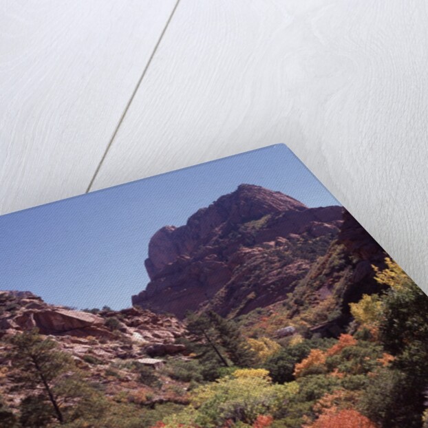 Kolob Canyon, Zion National Park, Utah, USA by Anonymous