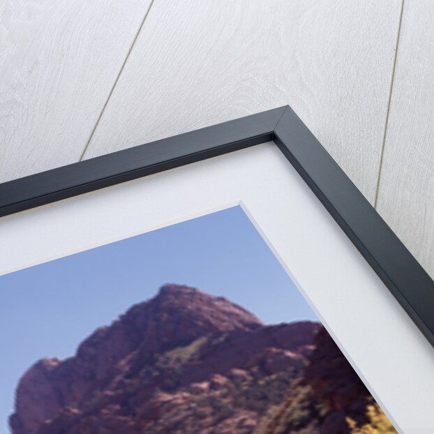 Kolob Canyon, Zion National Park, Utah, USA by Anonymous