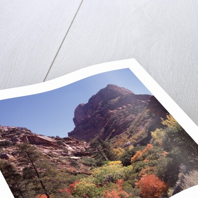 Kolob Canyon, Zion National Park, Utah, USA by Anonymous