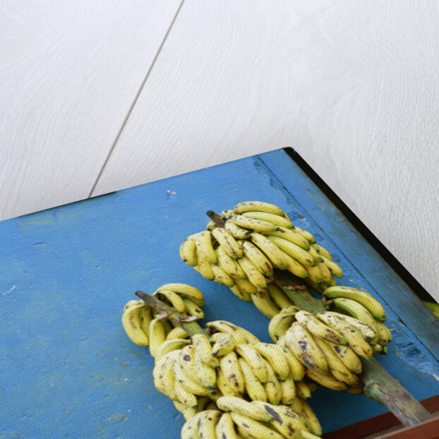 Bananas in front of blue wall, San Cristobal de las Casas, Mexico by Anonymous