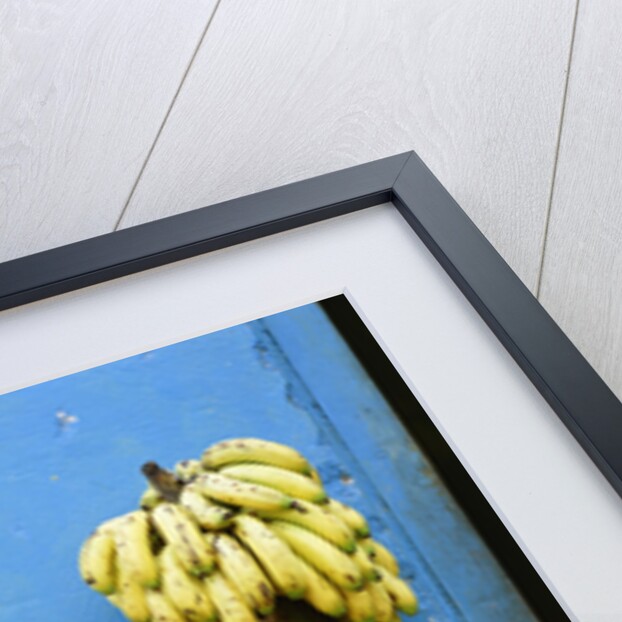 Bananas in front of blue wall, San Cristobal de las Casas, Mexico by Anonymous