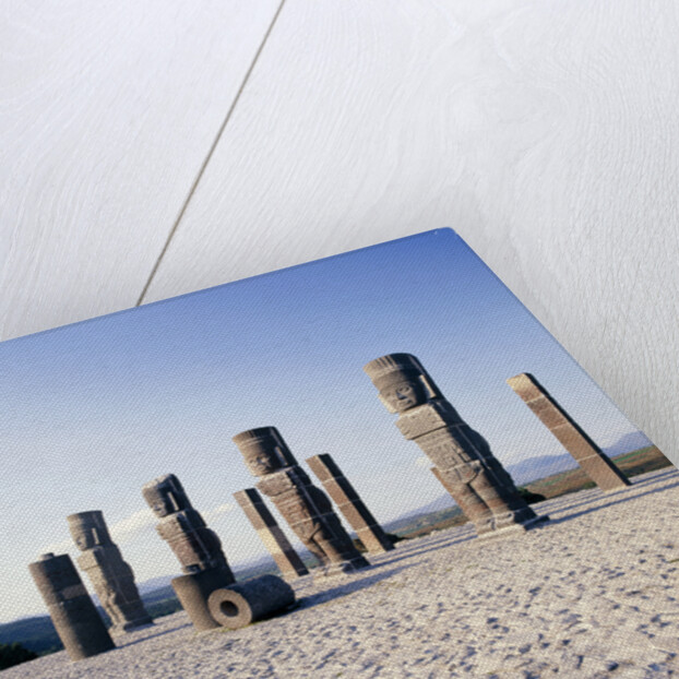 Tula de Allende, Hidalgo, Mexico by Anonymous