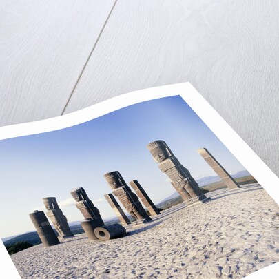 Tula de Allende, Hidalgo, Mexico by Anonymous