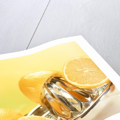 Lemons and a fruit-press by Anonymous