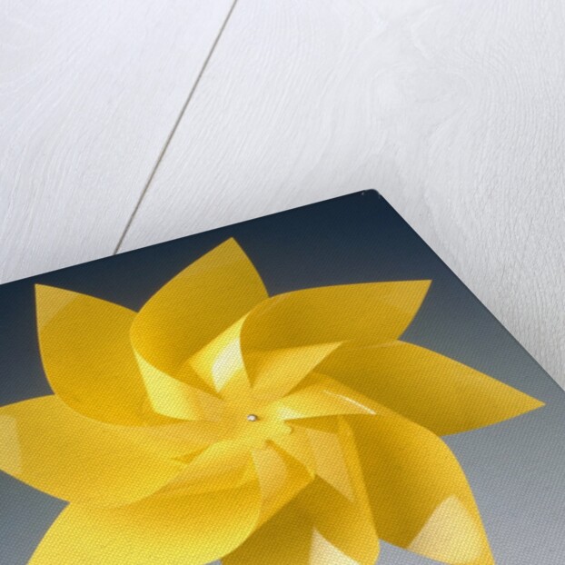 Toy wind wheel in front of a gray background by Anonymous