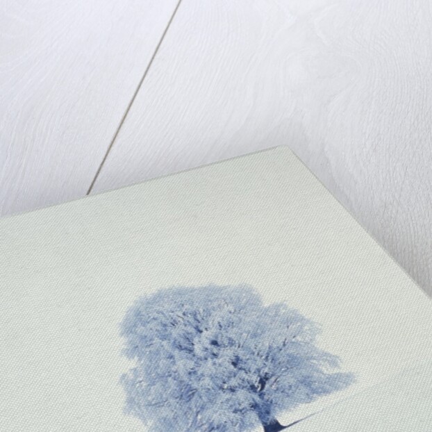 Tree in winter by Anonymous