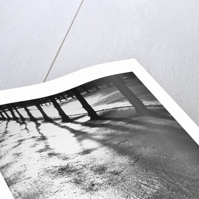 Sunlight reflecting on wet road by Anonymous