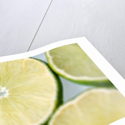 Limes in slices by Anonymous