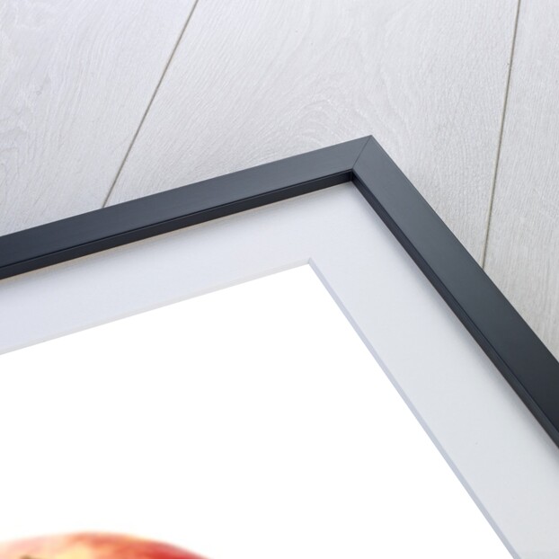 Three apples by Anonymous